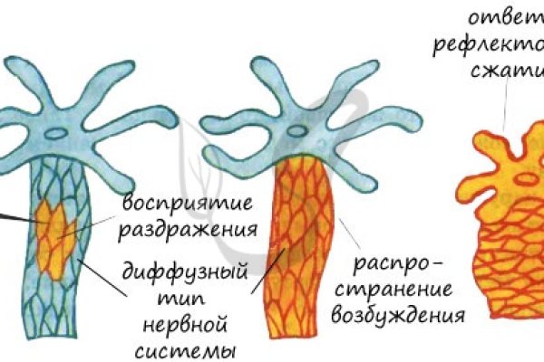 Kra39cc