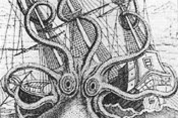 Kraken 14 at сайт