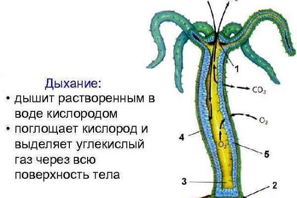 Кракен даркет